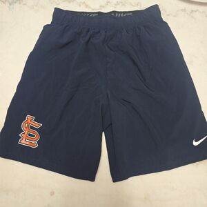 Nike Men's Navy Shorts